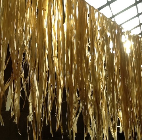 簾みたいな風景